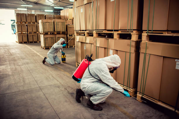 Best Wasp Removal Services  in Awendaw, SC