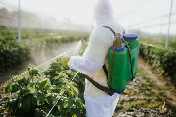 Best Wasp Removal Services  in Awendaw, SC